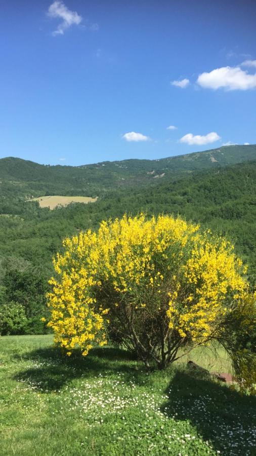Nido D'Amore Nei Colori Dernice Exteriör bild